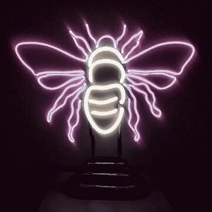 Meet your Posher, Isabella